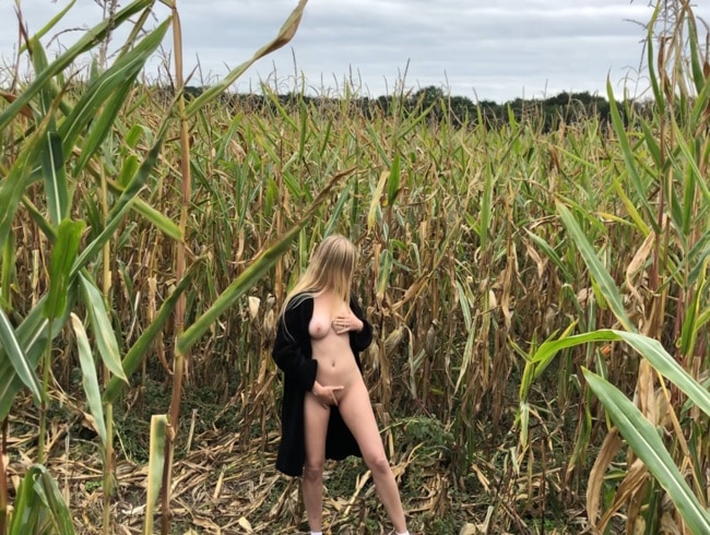 Scopa nel campo di grano con la bella adolescente NastiLove