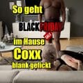 Black Friday at Cat-Coxx