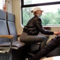 Lisa Sack - Fierce! Tail wixxt in the middle of the S-Bahn