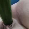request video! Rebecci gets it himself with a cucumber