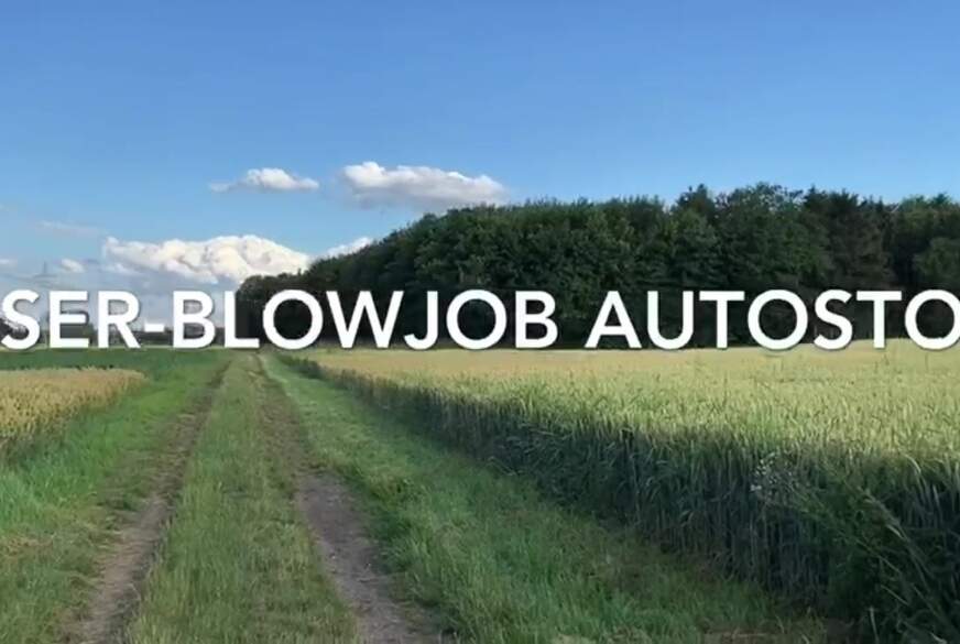 USER-blowjob AUTOSTOP - first user car-date von Etwasneugierig