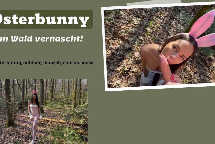 WHAT would you do if Easter bunny NORA DEVOT wanted to eat you out in the forest?
